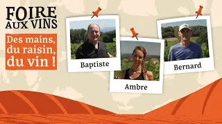 Miniature : Foire aux vins 2024 🍷 : des mains, du raisin, du vin !