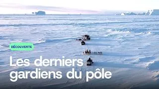 Miniature : Les derniers gardiens du pôle