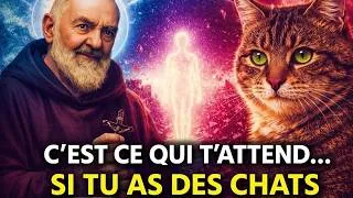 Miniature : Vous avez des chats à la maison ? Ce que le Père Pio aurait révélé sur ceux qui ont des chats