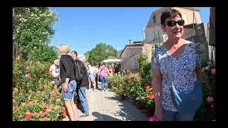 Miniature : La foire aux plantes de Moriez : Quand la nature et la poésie se rencontrent