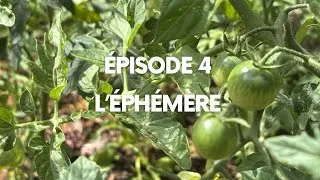 Miniature : Épisode 4 : L'Éphémère. Comment je cultive malgré les contraintes de mon terrain