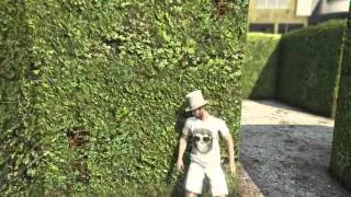 Miniature : LES JACKASS DU TURFU FUNTAGE GTA5