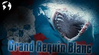 Miniature : Le Grand Requin Blanc, notre plus grand prédateur !?