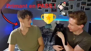 Miniature : L'expérience de Thomas primant en PASS (interview n°2)