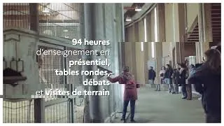 Miniature : Teaser Diplôme d'établissement "Protection animale : de la science au droit"