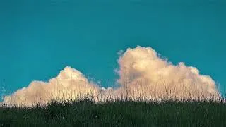 Miniature : sir Was x Casper Clausen - Flyder