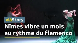 Miniature : Le Festival du Flamenco : L'identité espagnole en plein coeur de Nîmes