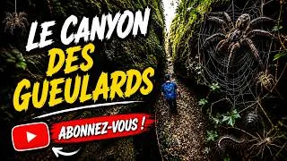 Miniature : Canyon des Gueulards 