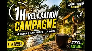 Miniature : Relaxation Nature dans la Campagne  Bruit des Oiseaux, Grillons et Nature pour Dormir & Se Détendre