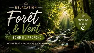 Miniature : Relaxation Profonde dans la Forêt 🍃 Vent Naturel Apaisant | Sommeil, Méditation, Détente Nature