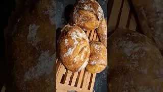 Miniature : Bread cook in ordinary Oven: Check the back of it. #Food #Foodie #SATISFYING 