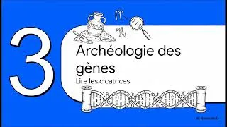 Miniature : Le chromosome 2 : l’événement qui a changé l’histoire humaine