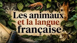 Miniature : Les animaux et la langue française (8 mots et expressions)