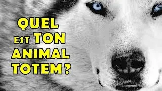 Miniature : QUEL EST TON ANIMAL TOTEM?