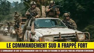 Miniature : Attaque massive : le Commandement Sud débarque pour des opérations conjointes