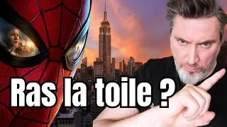 Miniature : SPIDER-MAN : BRAND A NEW DAY / CRITIQUE QUI SE PREND DANS LA TOILE 🎞️😡