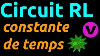 Miniature : Circuit RL : homogénéité de la constante de temps