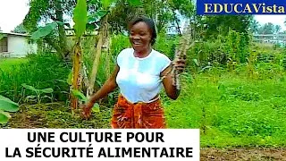 Miniature : Agriculteurs du Monde : le Manioc au Ghana