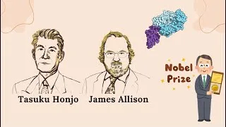 Miniature : Prix nobel 2018 de médecine: l’Immunothérapie par James Allison et Tasuku Honjo