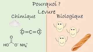 Miniature : Levures biologique VS chimique