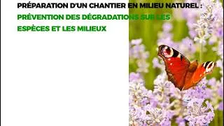 Miniature : Planification écologique de chantier : Stratégies de préservation des espèces et des habitats
