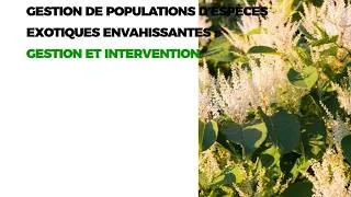Miniature : Gestion opérationnelle des EEE : Protocoles d'intervention et traitement des déchets