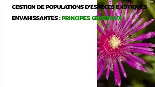 Miniature : Espèces Exotiques Envahissantes (EEE) : Diagnostic et impacts sur les écosystèmes