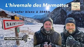 Miniature : Marmottes 2026 ▶▶ Survivre à la plus extrême des hivernales