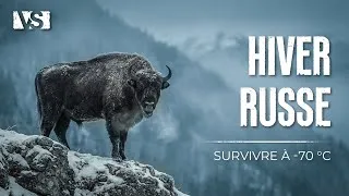 Miniature : HIVER EXTRÊME EN RUSSIE | Survivre à -70°C dans le Froid le Plus Brutal de la Planète – Documentaire
