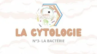Miniature : LA CYTOLOGIE: N°3 La bactérie