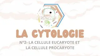 Miniature : LA CYTOLOGIE - N°2 Les cellules procaryotes et eucaryotes