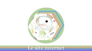 Miniature : Viens vite visiter le site internet!