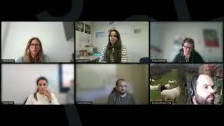 Miniature : Pyrèthre naturel, huile de paraffine : quelle stratégie pour la gestion de la cicadelle de la FD ?