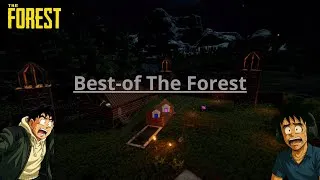 Miniature : Best of The Forest!