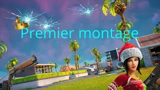 Miniature : Premier montage pc