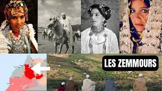 Miniature : Qui sont les Zemmours ?