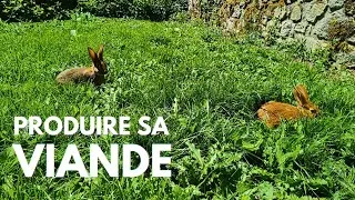 Miniature : LAPINS 🐰- La Base pour Démarrer : Achat, Clapiers, Alimentation...