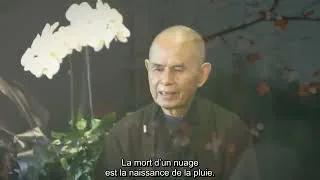 Miniature : Le lâcher-prise des notions - Enseignement de Thich Nhat Hanh sous-titré Français | #mindfulness