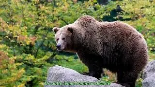 Miniature : Cultiver le calme et la sérénité : Contemplation guidée par Thich Nhat Hanh | Eng./Sous-titrée Fr.