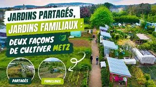 Miniature : 🌱 Jardins partagés, jardins familiaux : deux façons de cultiver Metz