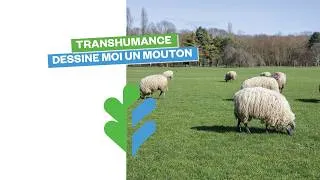 Miniature : Transhumance : dessine-moi un mouton
