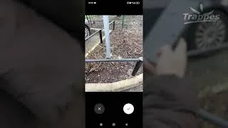 Miniature : Signaler un incident sur Trappes&Moi