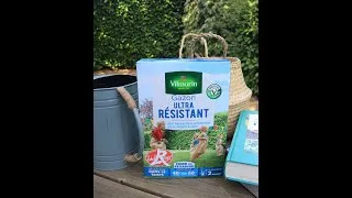 Miniature : Tuto : comment semer du gazon en automne  - Vilmorin x Pierre Le Cultivateur