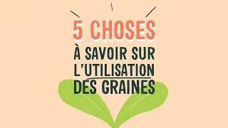 Miniature : 5 choses à savoir sur l'utilisation des graines 🌱