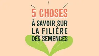Miniature : 5 choses à savoir sur la filière des semences 🌱