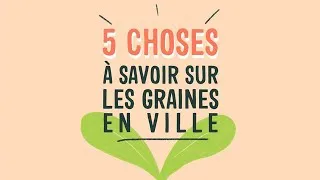 Miniature : 5 choses à savoir sur les graines en ville 🌱