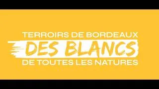 Miniature : Vins de Bordeaux, des vins BLANCS de toutes les natures !
