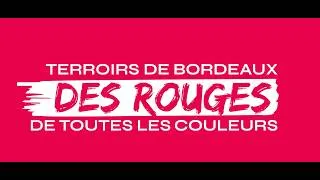 Miniature : Vins de Bordeaux, des vins ROUGES de toutes les couleurs !