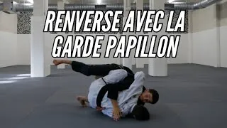 Miniature : RENVERSE à tous les coups grâce à la GARDE PAPILLON