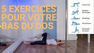 Miniature : Prévenir les blessures du dos en Pole Dance | 5 exercices essentiels !